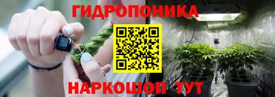 прущие грибы Гагарин