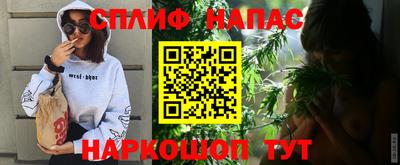 прущие грибы Гагарин