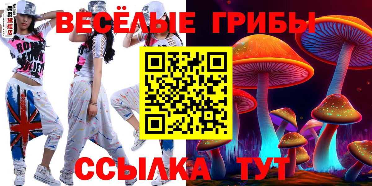 Надым  Псилоцибиновые грибы ЛСД  Вход с VPN 